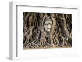 Head of Buddha Statue in the Tree Roots, Ayutthaya, Thailand-R.M. Nunes-Framed Photographic Print