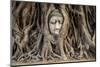 Head of Buddha Statue in the Tree Roots, Ayutthaya, Thailand-R.M. Nunes-Mounted Photographic Print