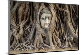 Head of Buddha Statue in the Tree Roots, Ayutthaya, Thailand-R.M. Nunes-Mounted Photographic Print