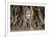 Head of Buddha Statue in the Tree Roots, Ayutthaya, Thailand-R.M. Nunes-Framed Photographic Print