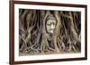 Head of Buddha Statue in the Tree Roots, Ayutthaya, Thailand-R.M. Nunes-Framed Photographic Print