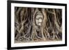 Head of Buddha Statue in the Tree Roots, Ayutthaya, Thailand-R.M. Nunes-Framed Photographic Print