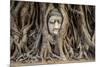 Head of Buddha Statue in the Tree Roots, Ayutthaya, Thailand-R.M. Nunes-Mounted Photographic Print