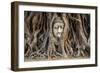 Head of Buddha Statue in the Tree Roots, Ayutthaya, Thailand-R.M. Nunes-Framed Photographic Print
