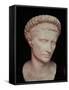 Head of Caesar Augustus-null-Framed Stretched Canvas