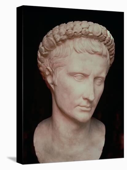 Head of Caesar Augustus-null-Stretched Canvas