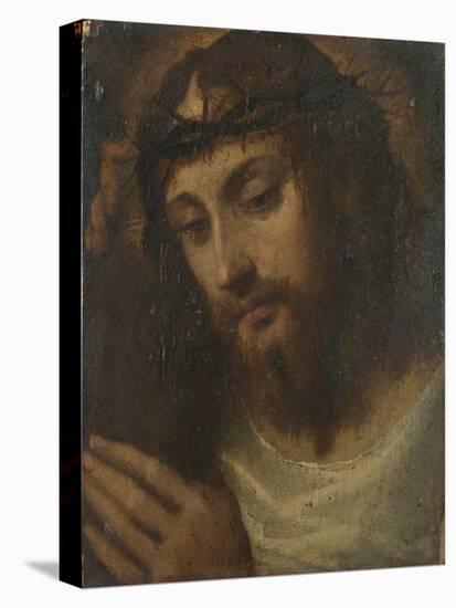 Head of Christ, C.1540-Sodoma-Stretched Canvas