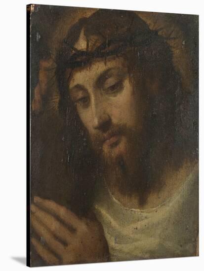 Head of Christ, C.1540-Sodoma-Stretched Canvas