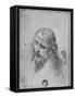 'Head of Christ', c1480 (1945)-Leonardo Da Vinci-Framed Stretched Canvas