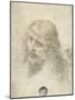 Head of Christ with a Hand Grasping His Hair-Leonardo da Vinci-Mounted Giclee Print