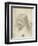 Head of Christ with a Hand Grasping His Hair-Leonardo da Vinci-Framed Giclee Print