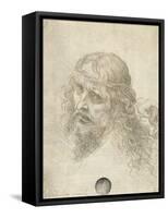 Head of Christ with a Hand Grasping His Hair-Leonardo da Vinci-Framed Stretched Canvas