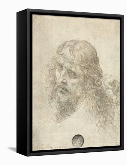 Head of Christ with a Hand Grasping His Hair-Leonardo da Vinci-Framed Stretched Canvas