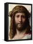 Head of Christ-Correggio-Framed Stretched Canvas