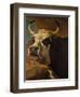 Head of Cow-Paul Potter-Framed Giclee Print