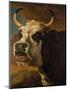 Head of Cow-Paul Potter-Mounted Giclee Print
