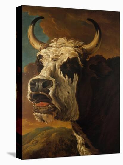 Head of Cow-Paul Potter-Stretched Canvas