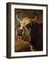 Head of Cow-Paul Potter-Framed Giclee Print