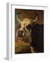 Head of Cow-Paul Potter-Framed Giclee Print