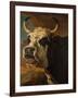 Head of Cow-Paul Potter-Framed Giclee Print