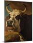 Head of Cow-Paul Potter-Mounted Giclee Print