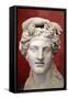 Head of Dionysus, God of Wine and Patron of Wine Making-null-Framed Stretched Canvas