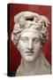 Head of Dionysus, God of Wine and Patron of Wine Making-null-Stretched Canvas
