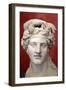 Head of Dionysus, God of Wine and Patron of Wine Making-null-Framed Photographic Print