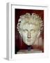 Head of Emperor Augustus, from Certeveri-Roman School-Framed Giclee Print