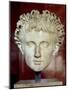 Head of Emperor Augustus, from Certeveri-Roman School-Mounted Giclee Print