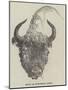 Head of European Bison-null-Mounted Giclee Print