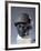 Head of Gudea, Prince of Lagesh, from Telloh Neo-Sumerian, C.2150-null-Framed Photographic Print