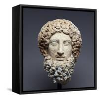 Head of Hades-null-Framed Stretched Canvas