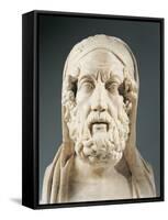 Head of Homer-null-Framed Stretched Canvas