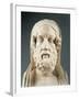 Head of Homer-null-Framed Giclee Print