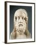 Head of Homer-null-Framed Giclee Print