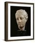 Head of Hygeia, Greek Goddess of Health, Marble, c. 350 BC Classical Greek-null-Framed Photographic Print