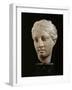 Head of Hygeia, Greek Goddess of Health, Marble, c. 350 BC Classical Greek-null-Framed Photographic Print