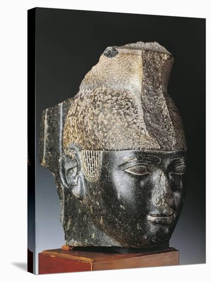 Head of King Taharka from Thebes-null-Stretched Canvas
