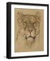 Head of Lioness, C. 1900-30-Bernard Willem Wierink-Framed Art Print