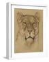 Head of Lioness, C. 1900-30-Bernard Willem Wierink-Framed Art Print