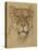 Head of Lioness, C. 1900-30-Bernard Willem Wierink-Stretched Canvas