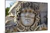 Head of Medusa, Temple of Apollo, Didyma, Anatolia, Turkey, Asia Minor, Eurasia-Neil Farrin-Mounted Photographic Print