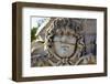 Head of Medusa, Temple of Apollo, Didyma, Anatolia, Turkey, Asia Minor, Eurasia-Neil Farrin-Framed Photographic Print