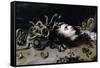Head of Medusa-Peter Paul Rubens-Framed Stretched Canvas