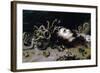 Head of Medusa-Peter Paul Rubens-Framed Art Print