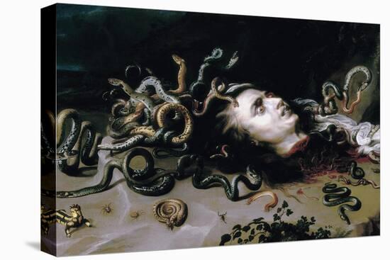 Head of Medusa-Peter Paul Rubens-Stretched Canvas
