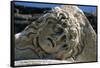 Head of Medusa-null-Framed Stretched Canvas