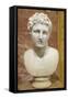 Head of Meleager, 2nd Century-null-Framed Stretched Canvas