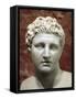 Head of Meleager, 2nd Century-null-Framed Stretched Canvas